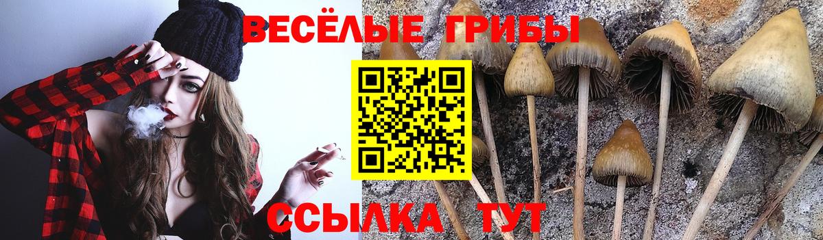 Великие Луки  Псилоцибиновые грибы MAGIC MUSHROOMS  Вход с VPN 